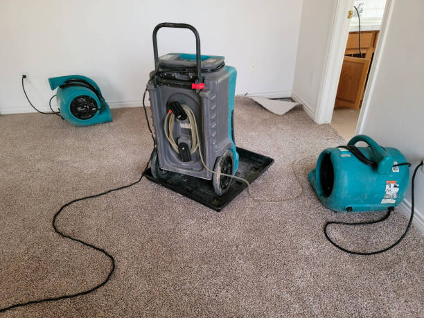 Best Fire Damage Restoration  in Wayne, PA