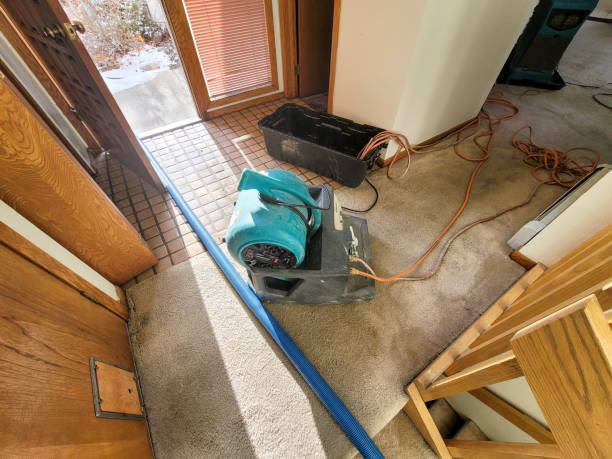 Best Residential water damage restoration  in Wayne, PA