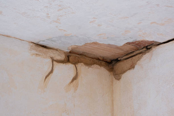 Best Flooded house restoration  in Wayne, PA