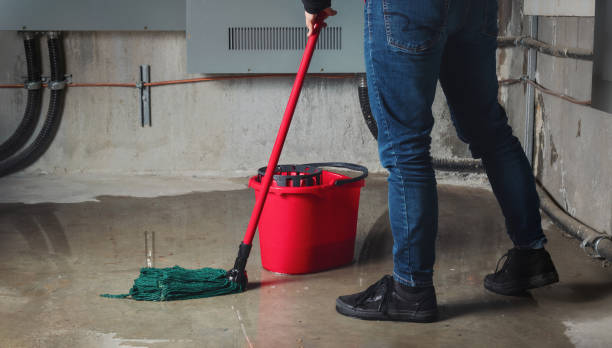 Best Water damage cleanup near me  in Wayne, PA
