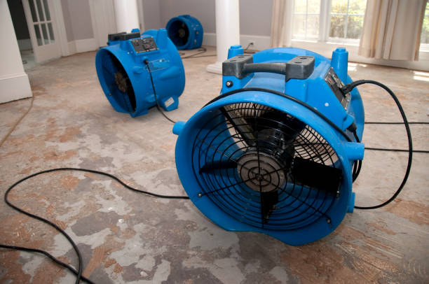 Best Local water damage restoration  in Wayne, PA