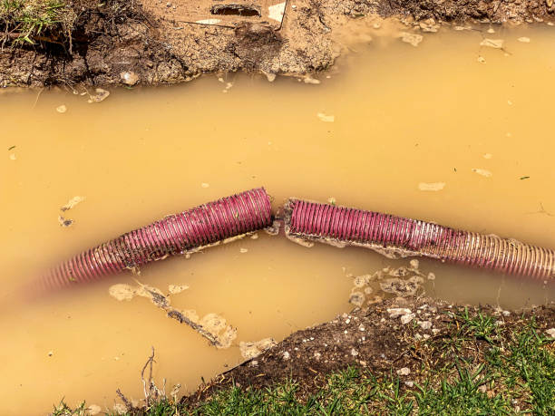 Best 24/7 water damage repair  in Wayne, PA